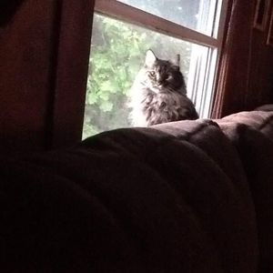 Meet your Posher, Eileen